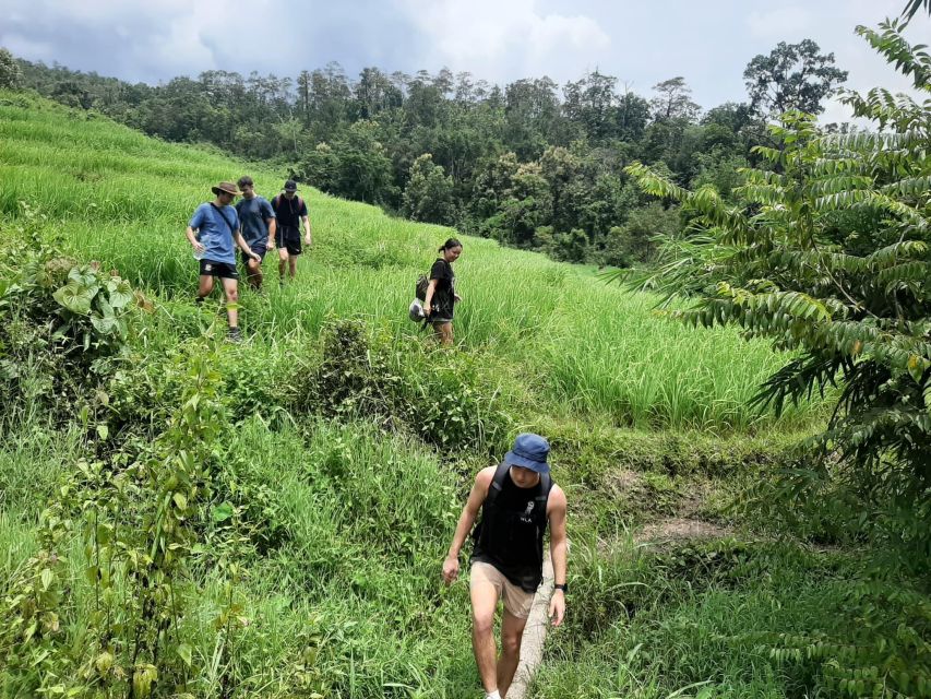 Chiang Mai: Elephant Sanctuary & Jungle Trek w/ Waterfall - What makes this Chiang Mai day trip worth considering