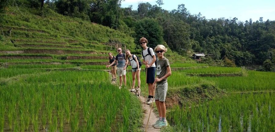 Chiang Mai: Elephant Sanctuary & Jungle Trek w/ Waterfall - A 30-minute walk to Mae Wang Waterfall