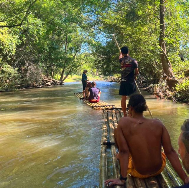 Chiang Mai: Elephant Sanctuary & Jungle Trek w/ Waterfall - Transport, timing, and the shape of the day