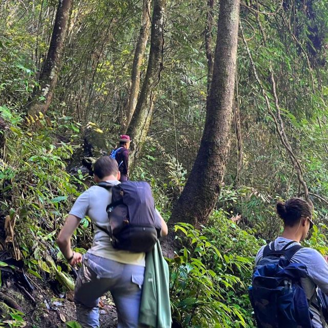 Chiang Mai: Elephant Sanctuary & Jungle Trek w/ Waterfall - What the $61 price includes