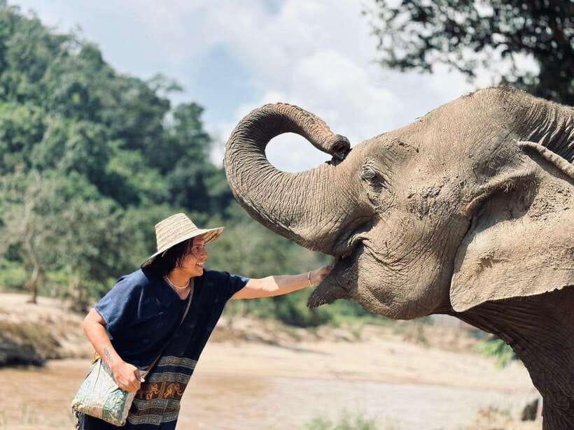Chiang Mai: Elephant Sanctuary, Long Neck & Sticky Waterfall - Key Points To Know Before You Go