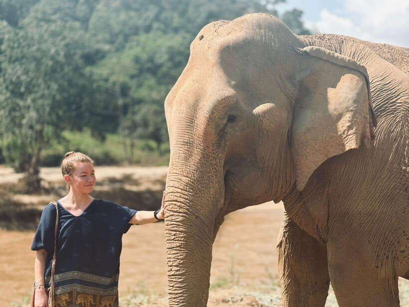 Chiang Mai: Elephant Sanctuary, Long Neck & Sticky Waterfall - The Day Starts With a Long Ride From Chiang Mai