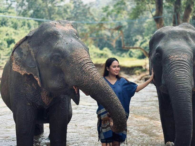 Chiang Mai: Elephant Sanctuary, Long Neck & Sticky Waterfall - Walking Beside Elephants and Bathing in the River