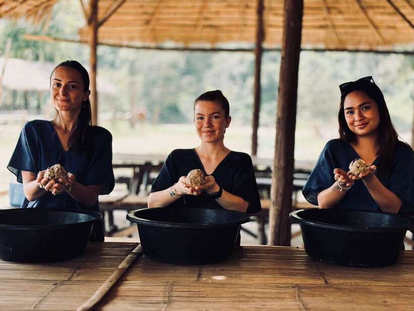 Chiang Mai: Elephant Sanctuary, Long Neck & Sticky Waterfall - A Thai Lunch With Fruit and a Few Caveats