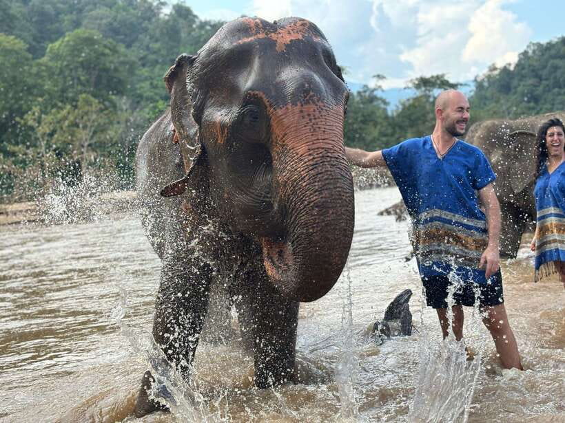 Chiang Mai: Elephant Sanctuary, Long Neck & Sticky Waterfall - Climbing the Limestone at Buatong Sticky Waterfall