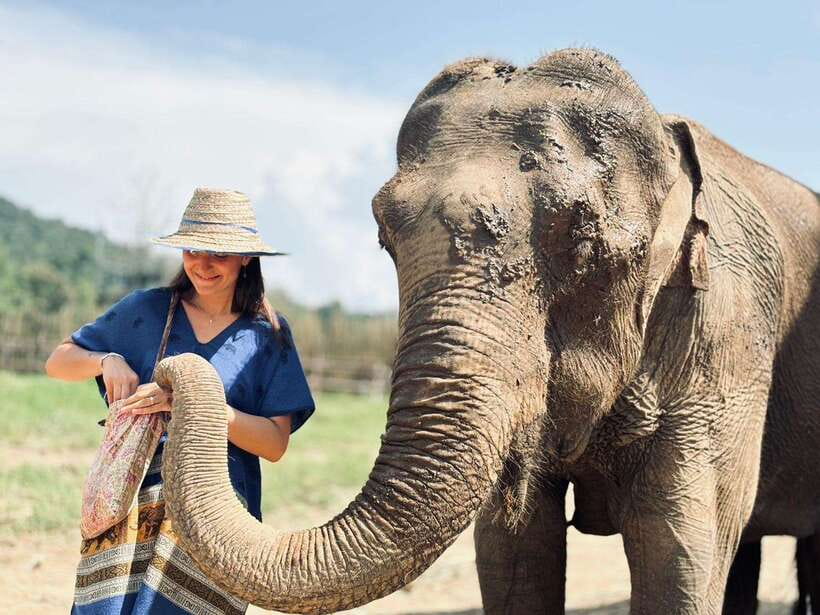 Chiang Mai: Elephant Sanctuary, Long Neck & Sticky Waterfall - Is $63 Good Value for Nine Hours?