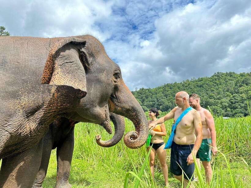 Chiang Mai: Elephant Sanctuary, Waterfall & Bamboo Rafting - Who should book this day?