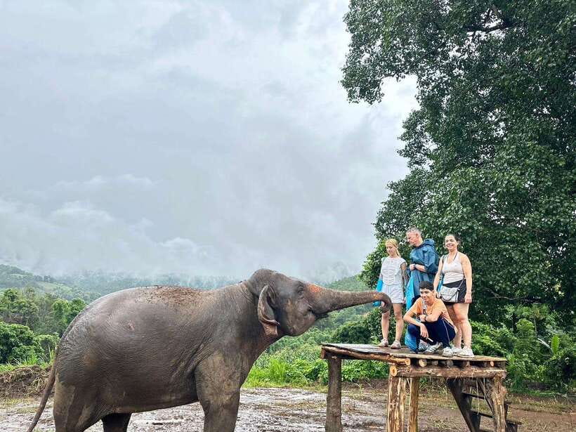 Chiang Mai: Elephant Sanctuary & Waterfall Group Tour - The river bathing session