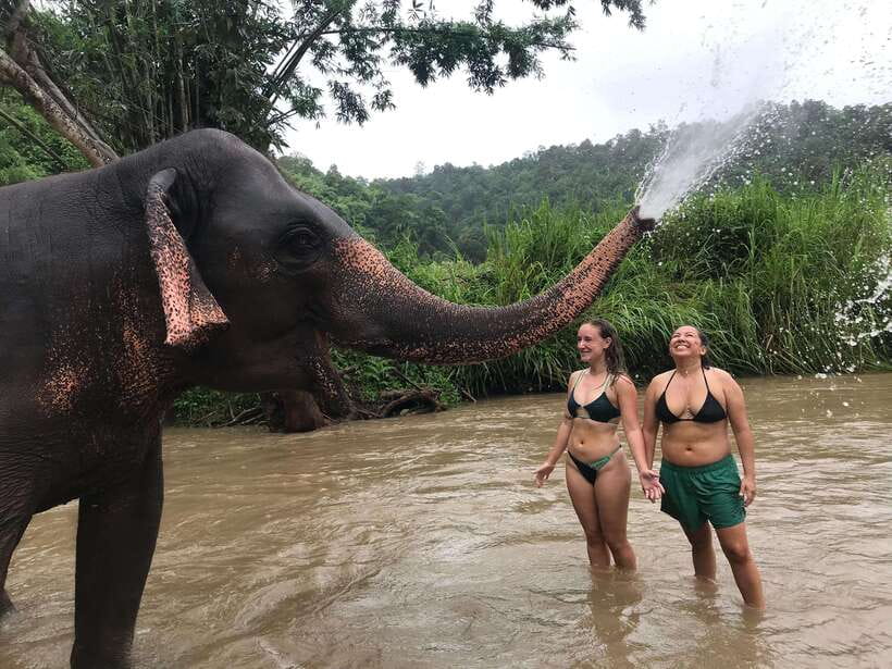 Chiang Mai: Elephant Sanctuary & Waterfall Group Tour - Thai lunch, fruit, and local desserts