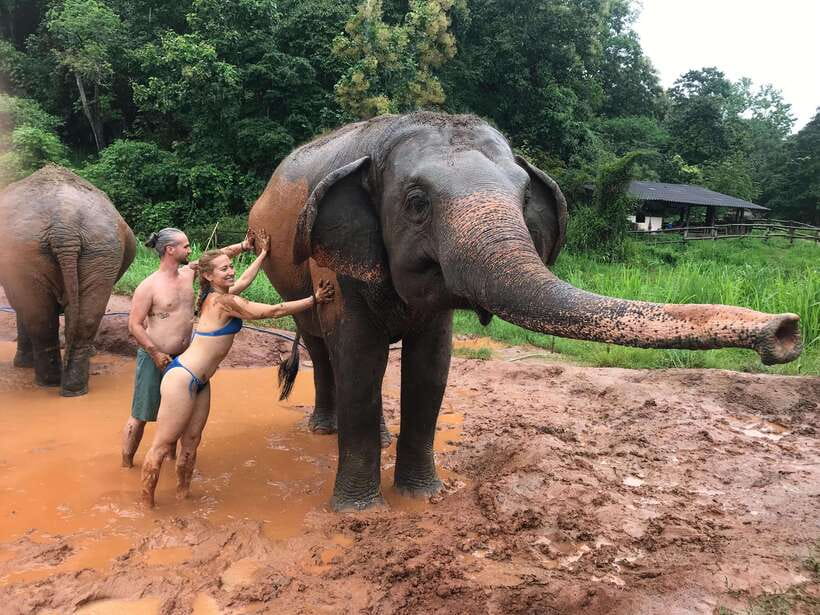 Chiang Mai: Elephant Sanctuary & Waterfall Group Tour - What the tour gets right about elephant welfare