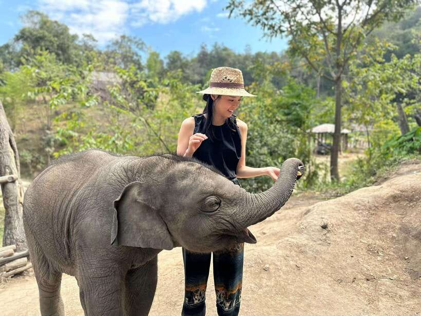 Chiang Mai: Elephant Sanctuary & Waterfall Group Tour - Who will enjoy this seven-hour outing?