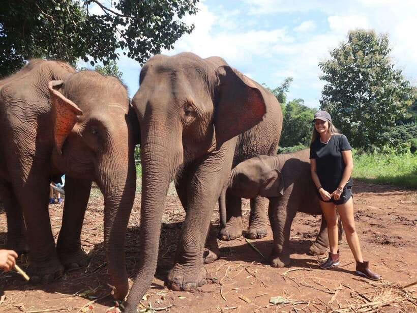 Chiang Mai: Elephant Sanctuary & Waterfall Group Tour - The 80-minute drive into Mae Wang