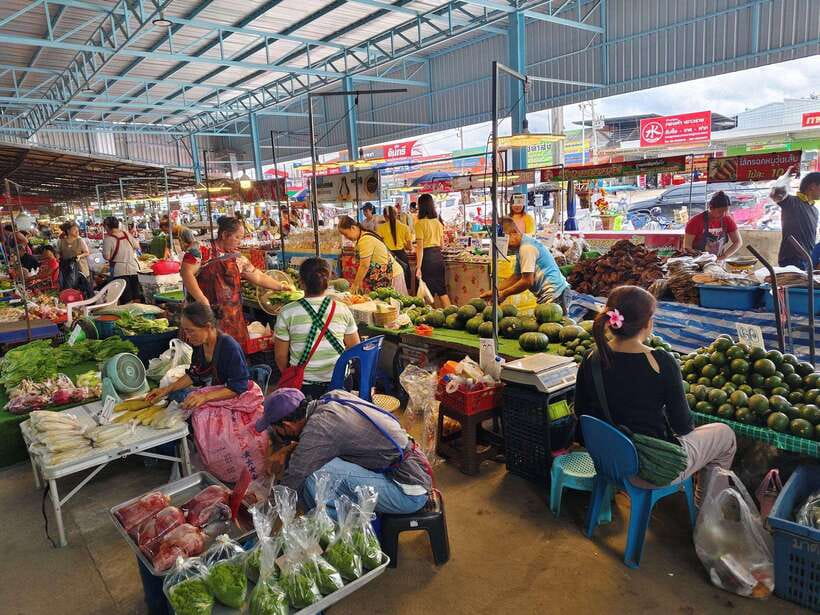Chiang Mai: Elephants, Sticky Waterfalls, Market and Temple - At a glance