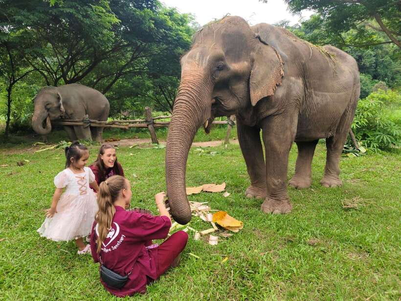 Chiang Mai: Elephants, Sticky Waterfalls, Market and Temple - ตลาดเจดีย์แม่ครัว and the taste of rural Northern Thailand