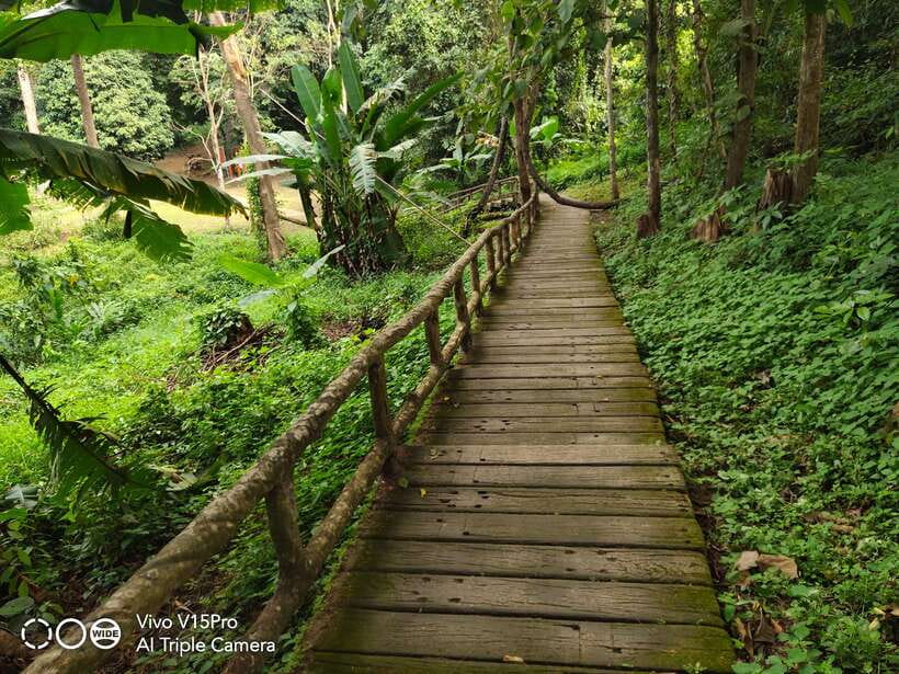 Chiang Mai: Elephants, Sticky Waterfalls, Market and Temple - What the guides add to the day