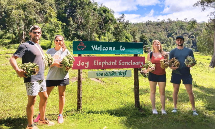 Chiang Mai: Ethical Half Day Elephant Sanctuary & Waterfall - The essentials at a glance