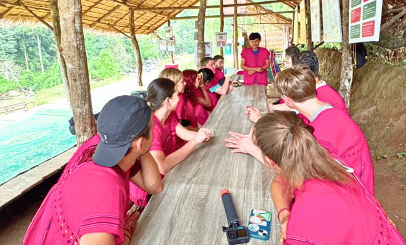 Chiang Mai: Ethical Half Day Elephant Sanctuary & Waterfall - Meeting the elephants and learning the rules