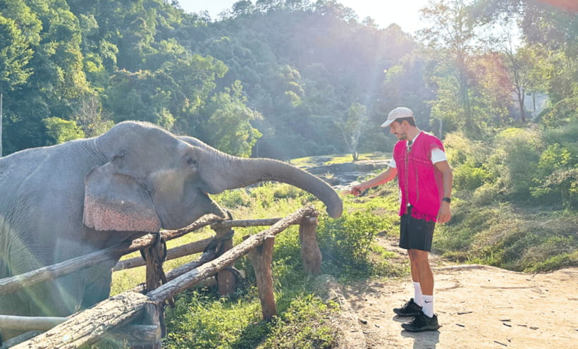 Chiang Mai: Ethical Half Day Elephant Sanctuary & Waterfall - What $54 buys you