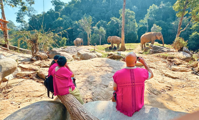 Chiang Mai: Ethical Half Day Elephant Sanctuary & Waterfall - Who should book this day