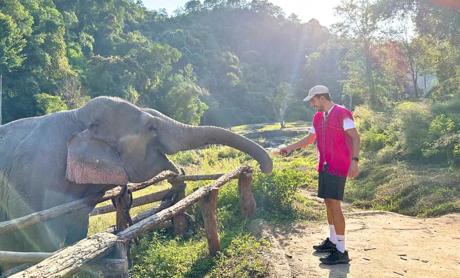 Chiang Mai: Full Day Ethical Elephant Sanctuary & Waterfall - Lunch is brief, so pack a snack