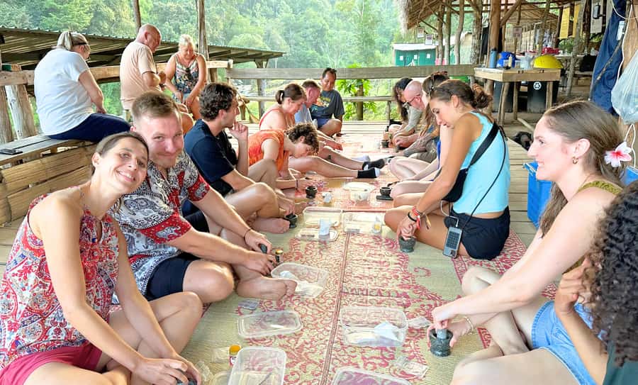 Chiang Mai: Full Day Ethical Elephant Sanctuary & Waterfall - Who should book this day?