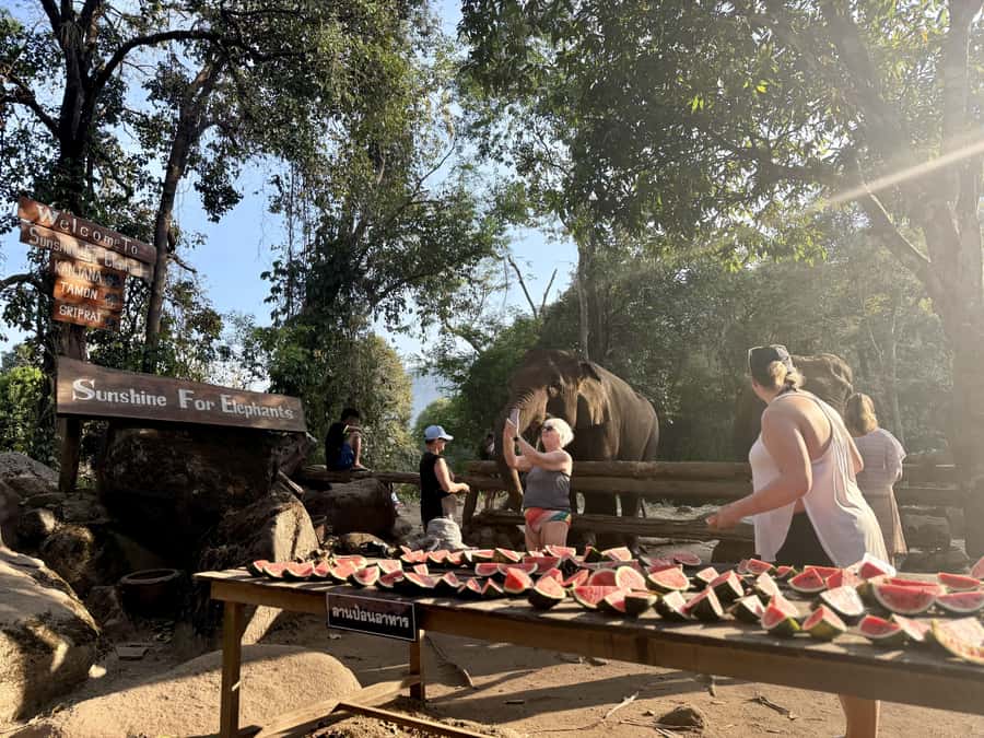 Chiang Mai Half-Day Adventure: River Tubing & Waterfall - The optional elephant feeding visit