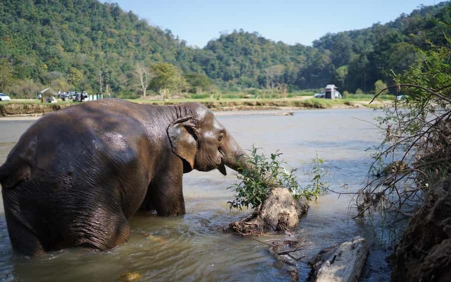 Chiang Mai Half-Day Adventure: River Tubing & Waterfall - A 1.3-hour float through Mae Taeng scenery