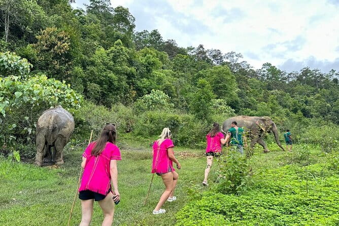 Chiang Mai Half Day Elephant Sanctuary Observation and Waterfall - Why this elephant experience feels different