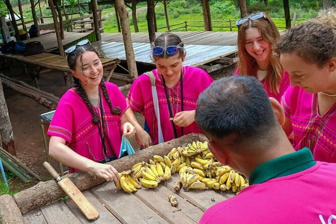 Chiang Mai Half Day Elephant Sanctuary Observation and Waterfall - Meeting the elephants at Thung Luang