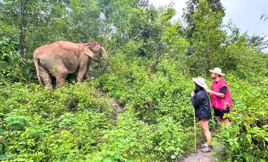 Chiang Mai: Inthanon, Ethical Elephant Sanctuary & Waterfall - The handmade souvenir adds a personal touch
