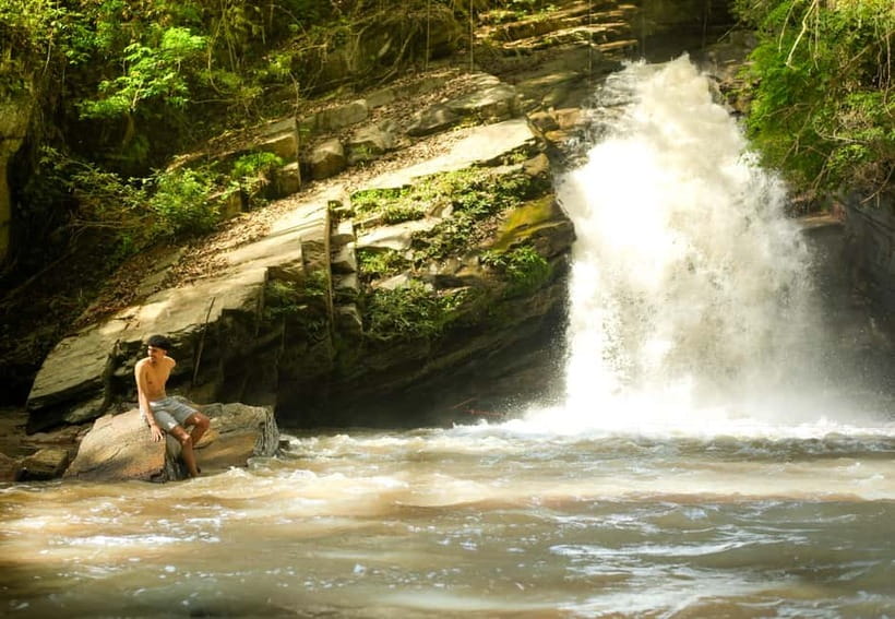 Chiang Mai: Jungle Jumbo Elephant Sanctuary with Waterfall - A six-hour outing with three very different stops