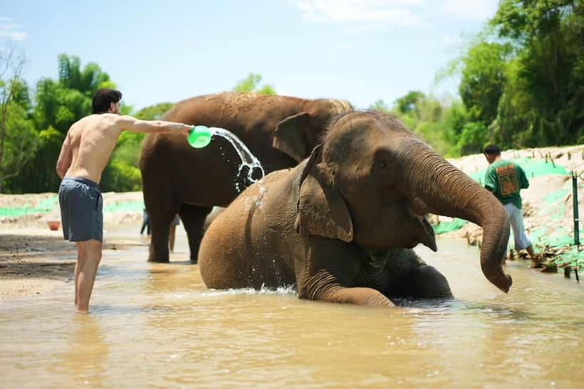 Chiang Mai: Jungle Jumbo Elephant Sanctuary with Waterfall - The jungle walk and waterfall stop
