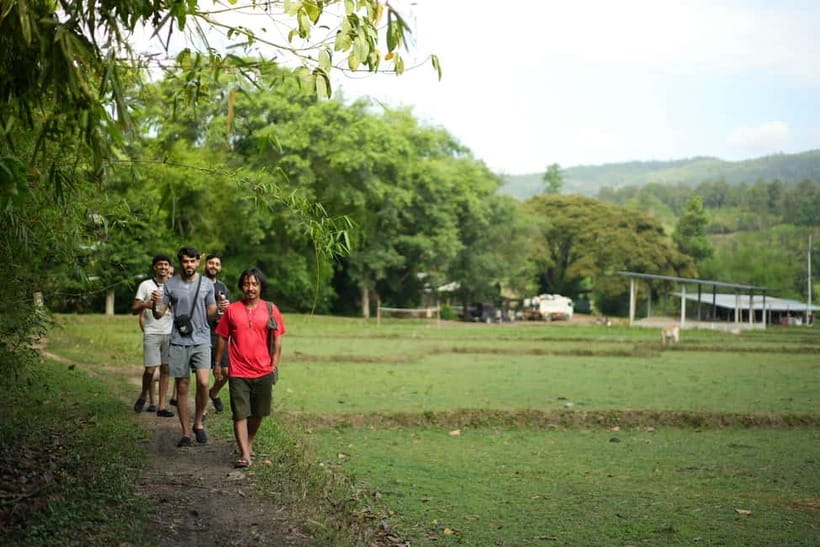 Chiang Mai: Jungle Jumbo Elephant Sanctuary with Waterfall - What to pack and how to dress
