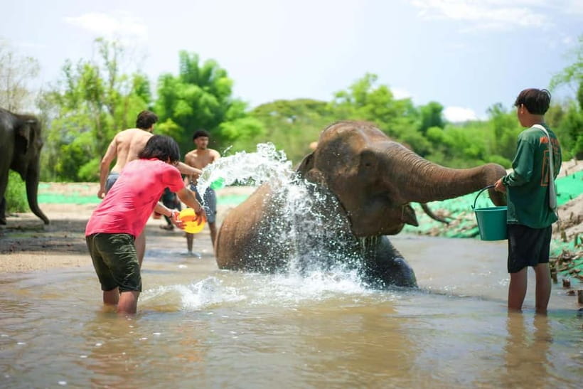 Chiang Mai: Jungle Jumbo Elephant Sanctuary with Waterfall - The village stop: useful context, but keep expectations modest