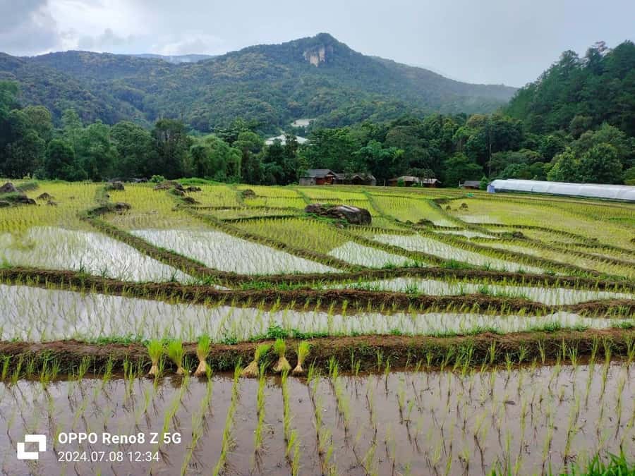 Chiang Mai: Mae Ya Waterfall & Pha Dok Siew Trail Trek - Key points at a glance