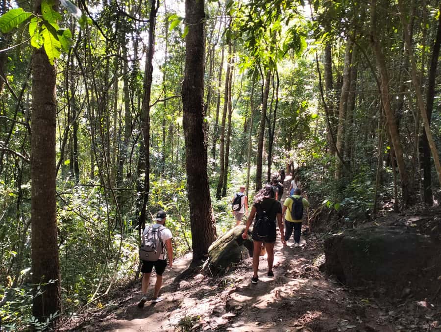 Chiang Mai: Mae Ya Waterfall & Pha Dok Siew Trail Trek - What this Chiang Mai mountain day is really like