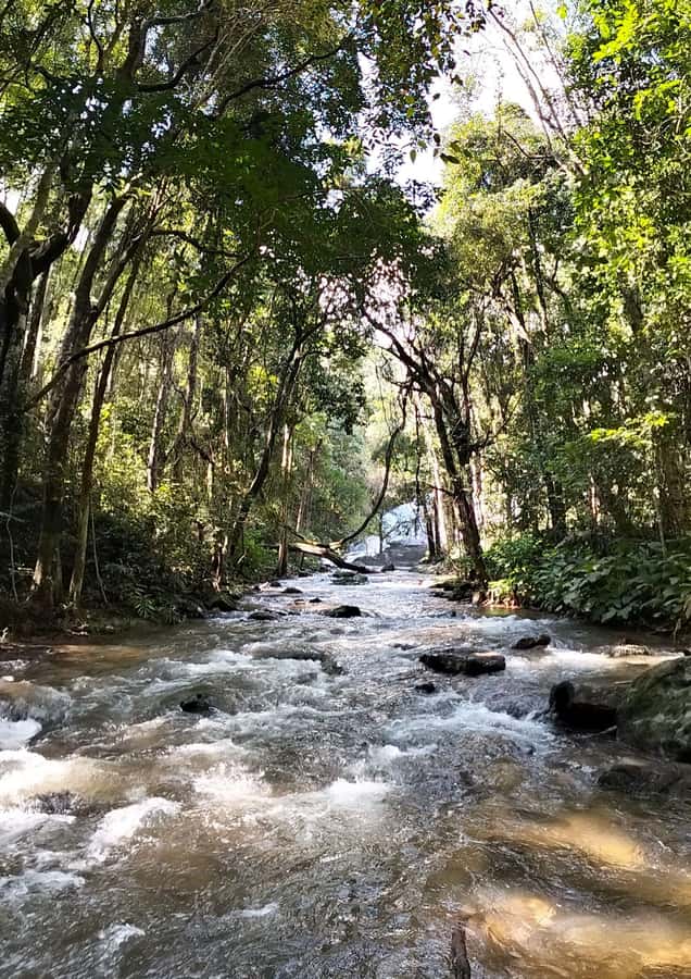 Chiang Mai: Mae Ya Waterfall & Pha Dok Siew Trail Trek - The guides can shape the whole experience
