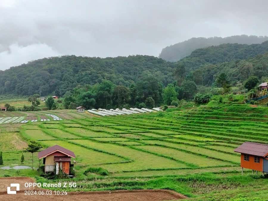 Chiang Mai: Mae Ya Waterfall & Pha Dok Siew Trail Trek - Is $80 good value for this day?