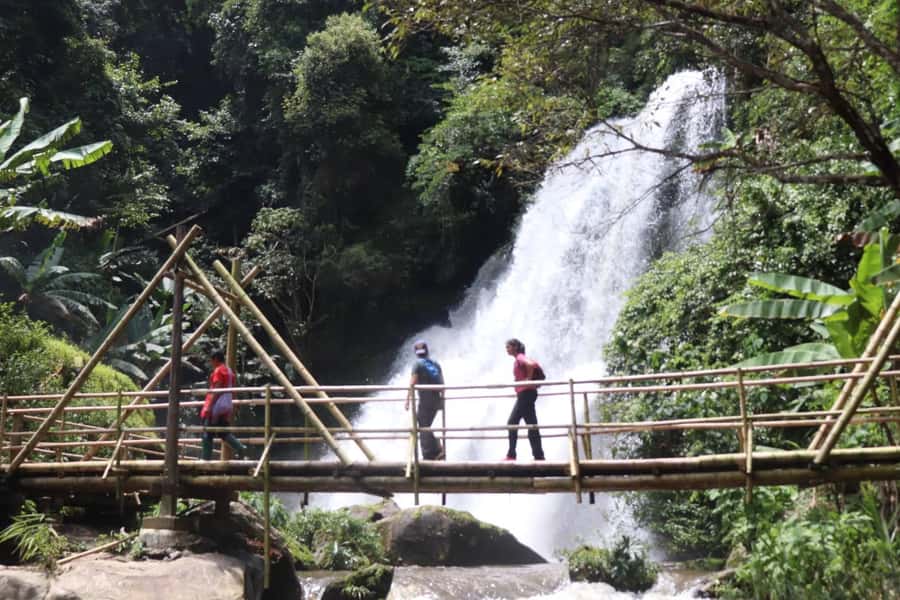 Chiang Mai: Mae Ya Waterfall & Pha Dok Siew Trail Trek - What this tour does not include