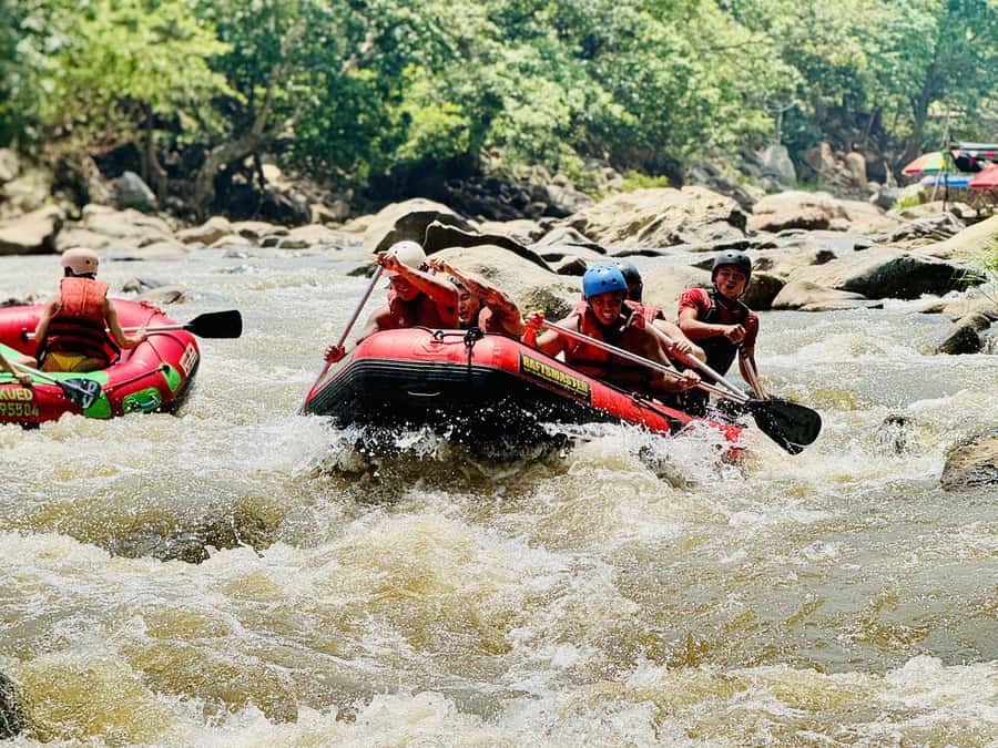 Chiang Mai: Sticky Waterfall and Rafting Day Trip - White Water Rafting on the Mae Taeng River