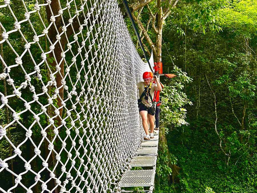 Chiang Mai: Sticky Waterfall and Zipline Adventure Day Trip - From Chiang Mai to Mae Taeng by van