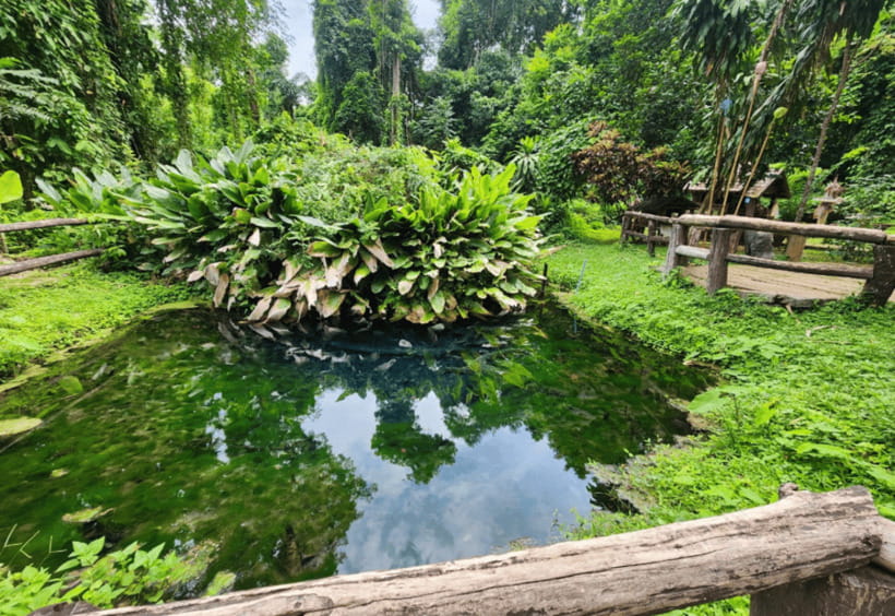 Chiang Mai: Sticky Waterfall, Bua Tong Cave Join Tour - What the timing really means