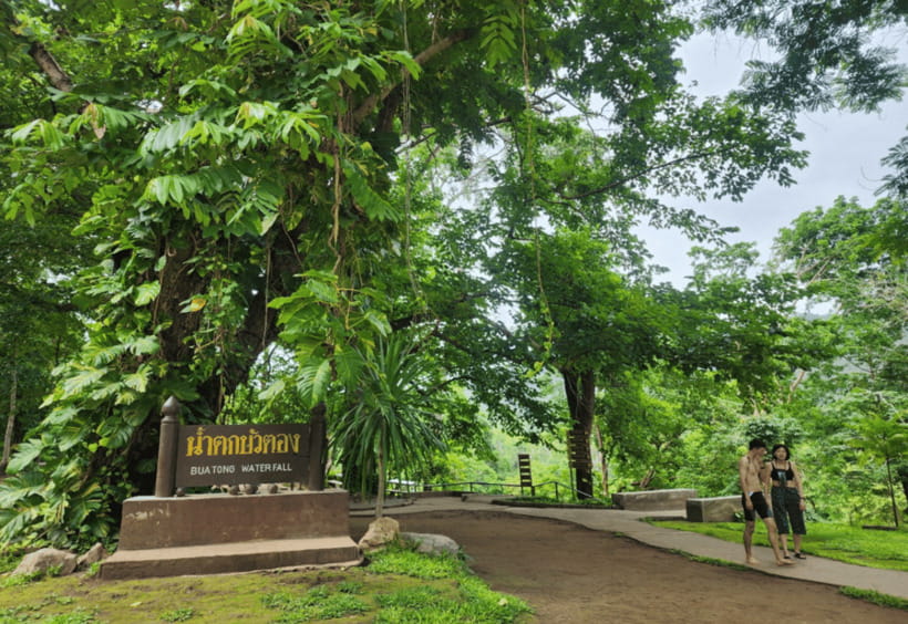 Chiang Mai: Sticky Waterfall, Bua Tong Cave Join Tour - Hotel pickup makes the morning easy
