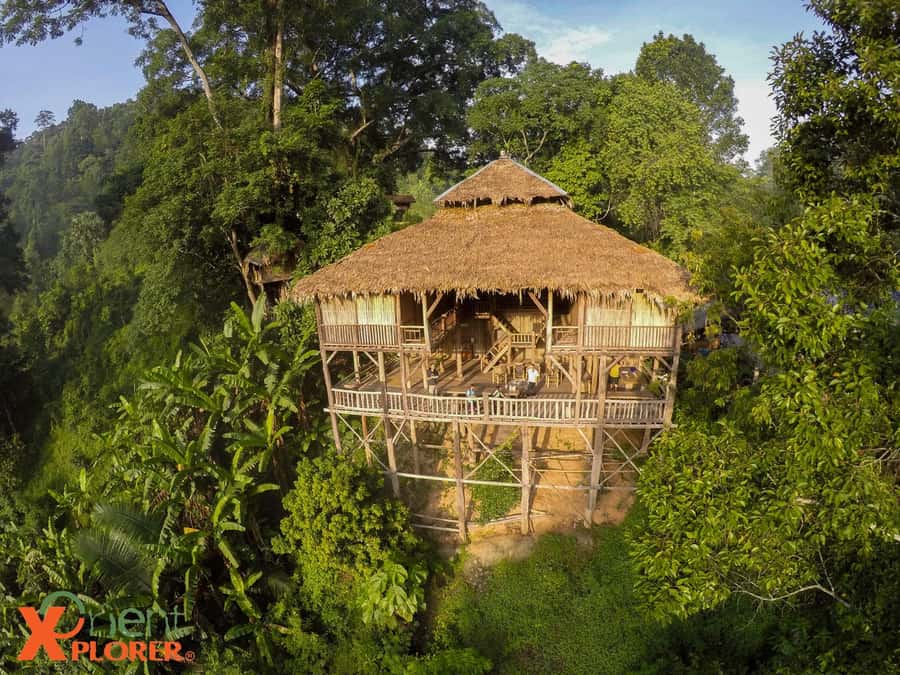 Chiang Mai: Sticky Waterfall & Caves Tour w/ Treehouse Stay - Why this two-day escape works