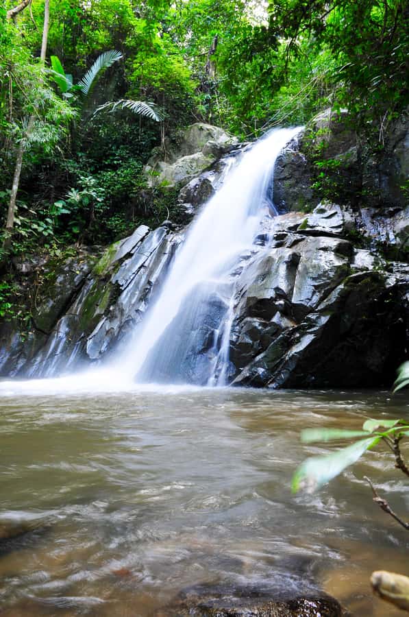 Chiang Mai: Sticky Waterfall & Caves Tour w/ Treehouse Stay - Lunch above the forest at Tree House Hideaway