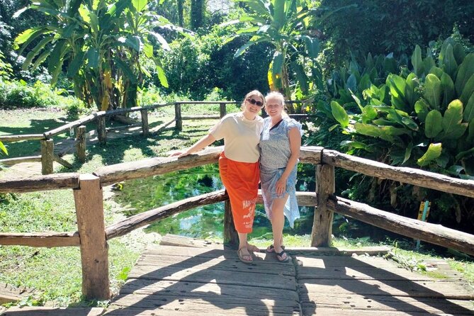Chiang Mai Sticky Waterfall Dantewada and Banden Temple Tour - Is $59.83 a fair price?