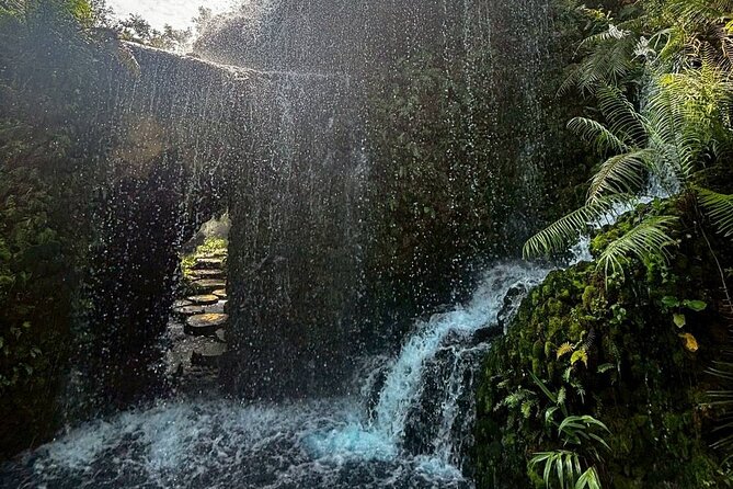 Chiang Mai Sticky Waterfall Dantewada and Banden Temple Tour - Timing, weather, and other practical points