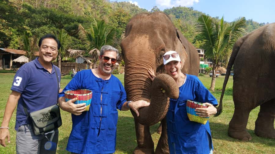 Chiang Mai Tour: Bua Tong Sticky Waterfall & Elephant Care - Bua Tong Sticky Waterfall is the morning’s big surprise
