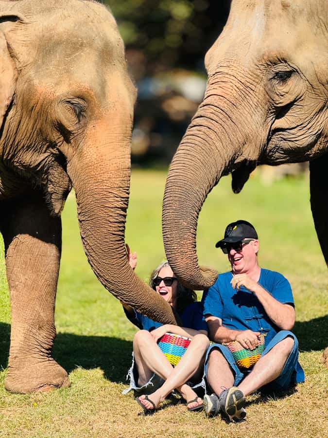 Chiang Mai Tour: Bua Tong Sticky Waterfall & Elephant Care - The elephant sanctuary focuses on useful care