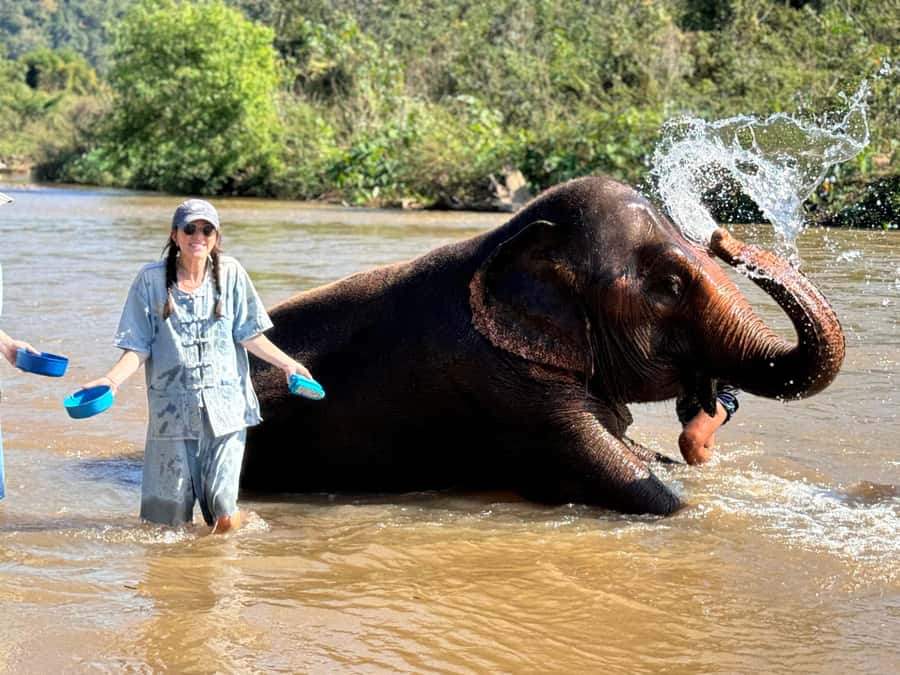 Chiang Mai Tour: Bua Tong Sticky Waterfall & Elephant Care - What the $86 price really covers